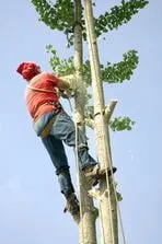 Reliable yard cleanup service for outdoor upgrades across Fairfield, CT - Leo's Landscaping, Lawn & Garden Solutions