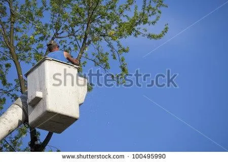 Top-rated lawn mowing service in Fairfield, CT - Leo's Landscaping, Lawn & Garden Solutions