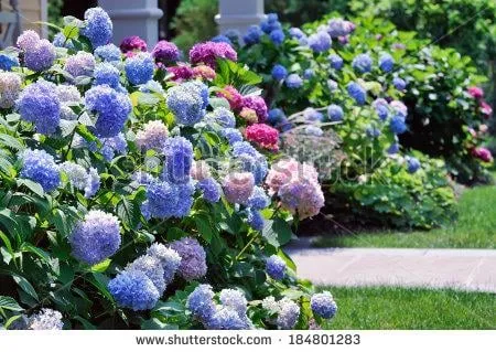 Trusted outdoor landscaping in Fairfield, CT by Leo's Landscaping, Lawn & Garden Solutions