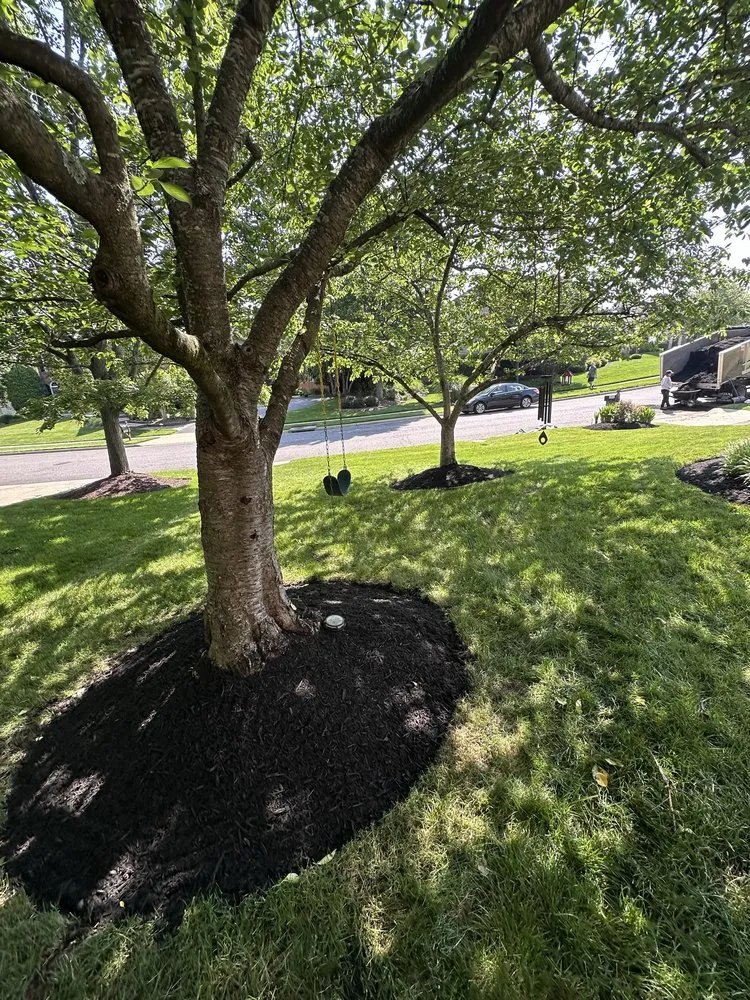 Expert landscaping services in Manassas, VA by Leos Landscaping