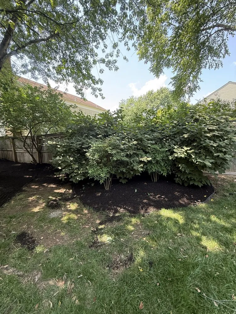 Affordable lawn care service experts serving Manassas, VA - Leos Landscaping