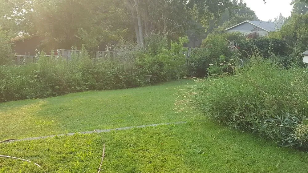 Local residential landscaping for homes across Pasco, WA - Leo's Landscaping