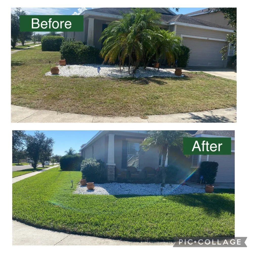 Local outdoor landscaping for year-round maintenance in Riverview, FL by Leo’s landscaping