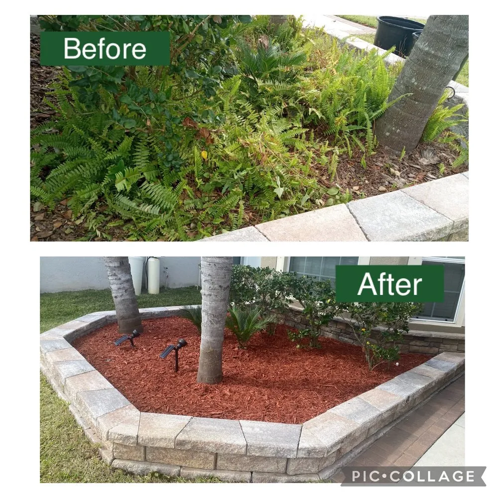 Expert lawn care service in Riverview, FL - Leo’s landscaping