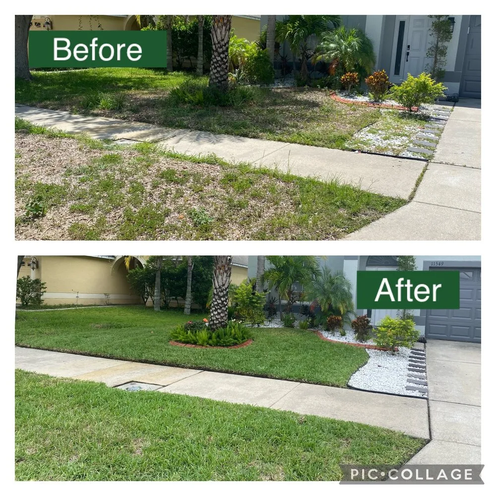 Professional residential landscaping in Riverview, FL by Leo’s landscaping