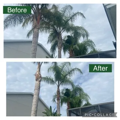 Leo’s landscaping Logo