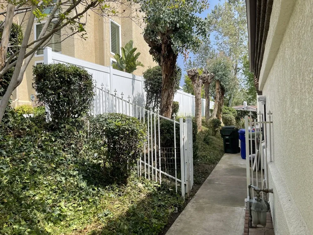 Trusted yard cleanup service in Highland, CA - Leo’s Landscaping Service