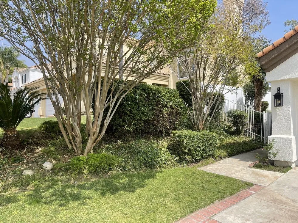 Professional yard cleanup service for year-round maintenance across Highland, CA - Leo’s Landscaping Service