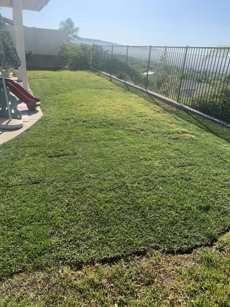 Custom lawn mowing service experts serving Highland, CA - Leo’s Landscaping Service