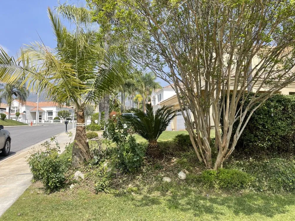 Reliable lawn mowing service in Highland, CA by Leo’s Landscaping Service