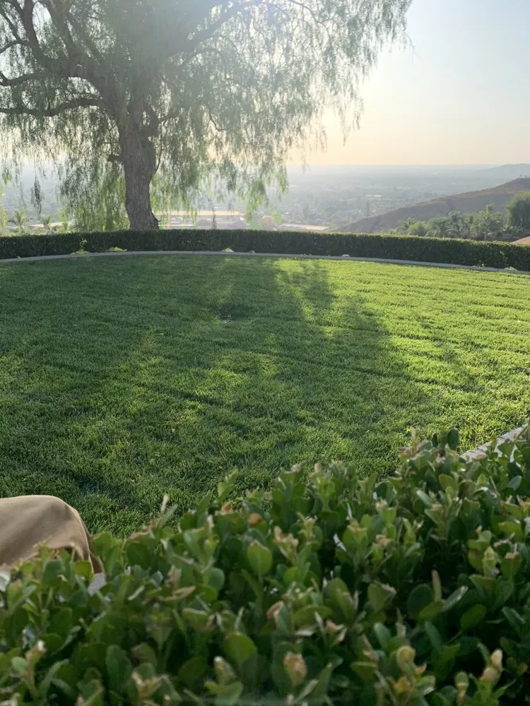 Local lawn mowing service for residential properties across Highland, CA - Leo’s Landscaping Service