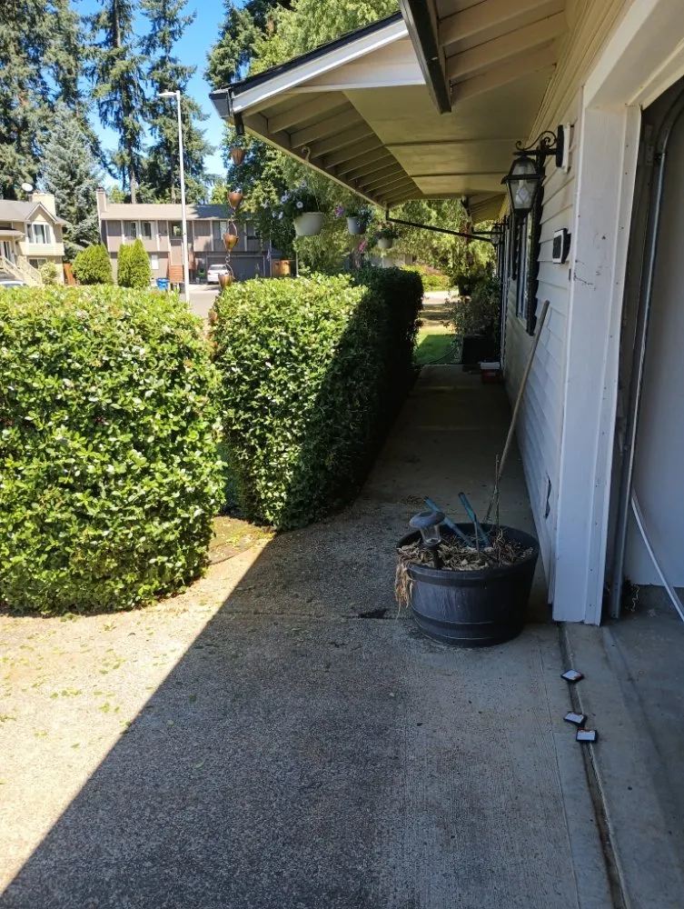 Affordable outdoor landscaping in Vancouver, WA - Leo's Landscaping