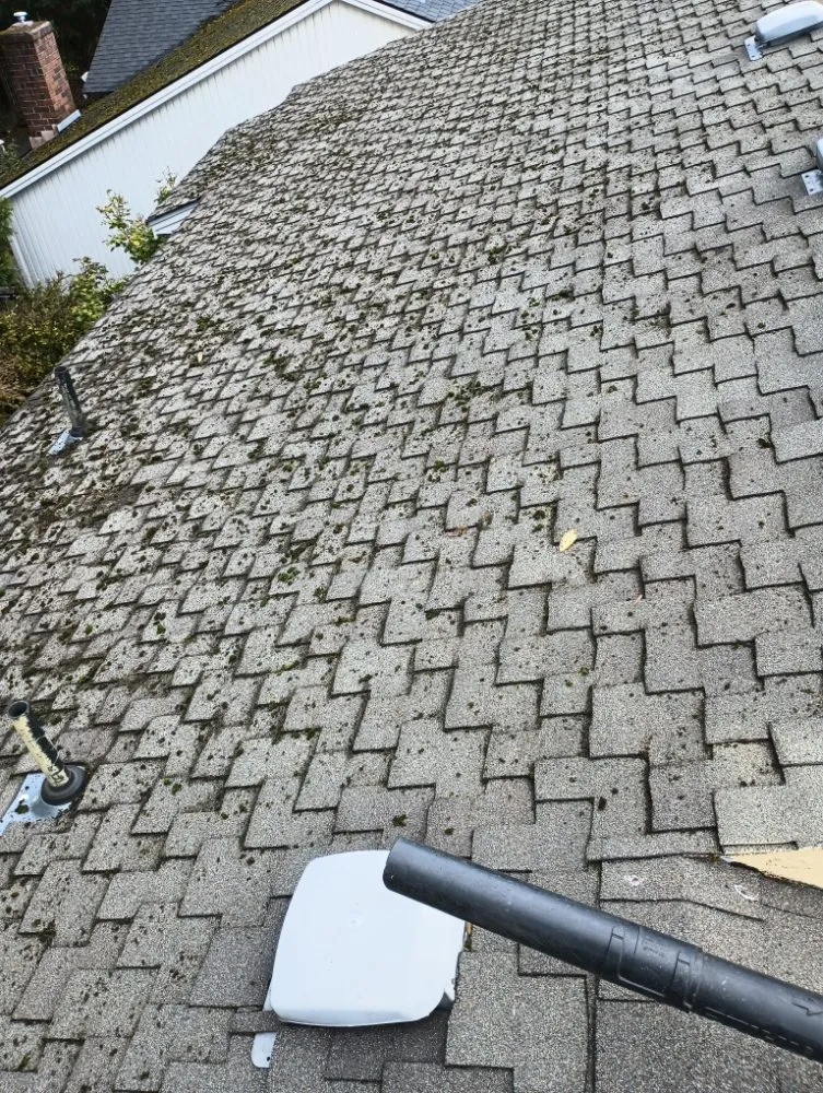 Professional garden landscaping in Vancouver, WA by Leo's Landscaping