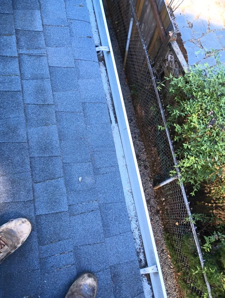 Expert lawn care service in Vancouver, WA - Leo's Landscaping