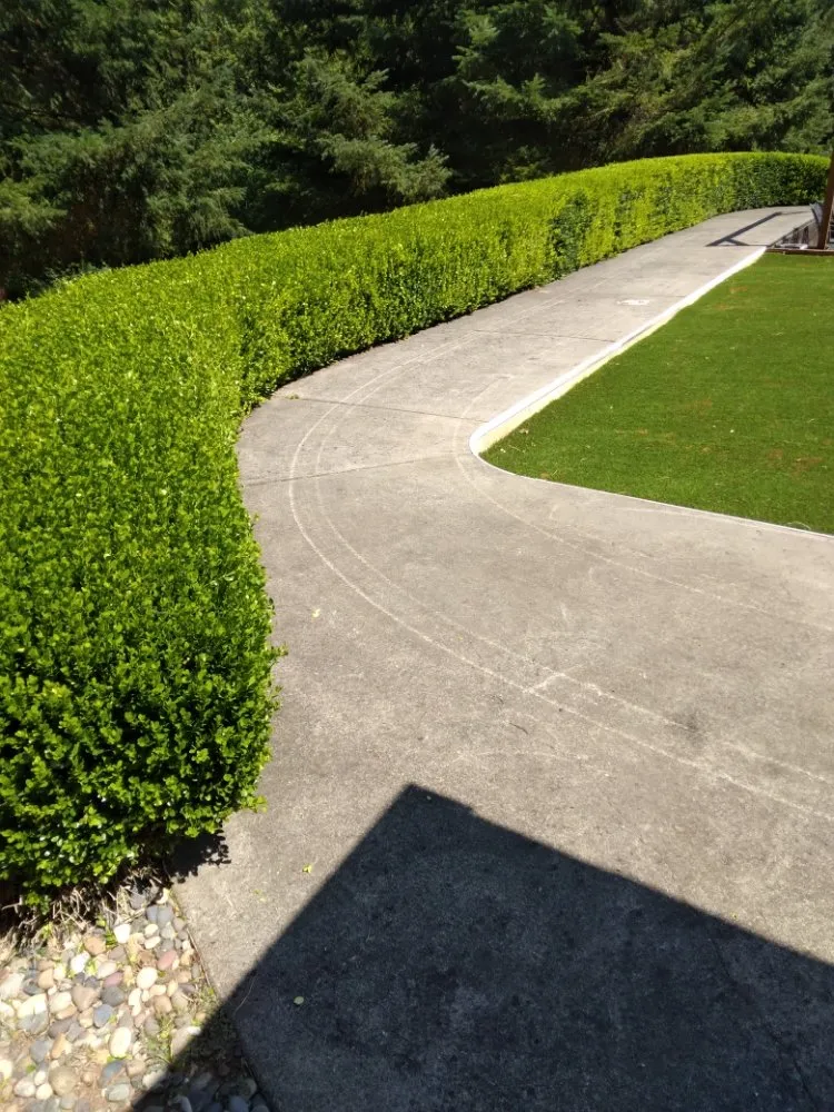 Reliable landscaping services experts serving Vancouver, WA - Leo's Landscaping