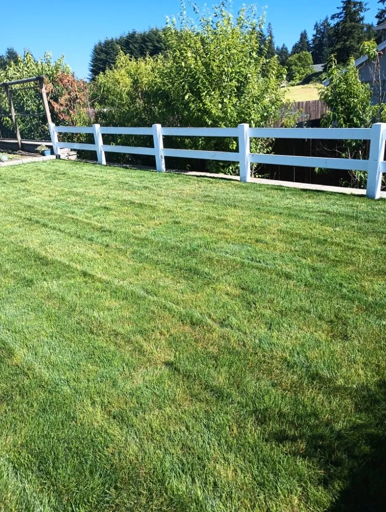 Trusted yard maintenance experts serving Vancouver, WA - Leo's Landscaping