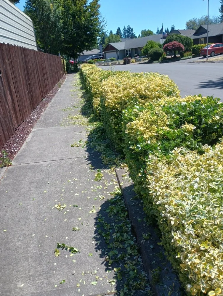 Professional landscape design in Vancouver, WA - Leo's Landscaping