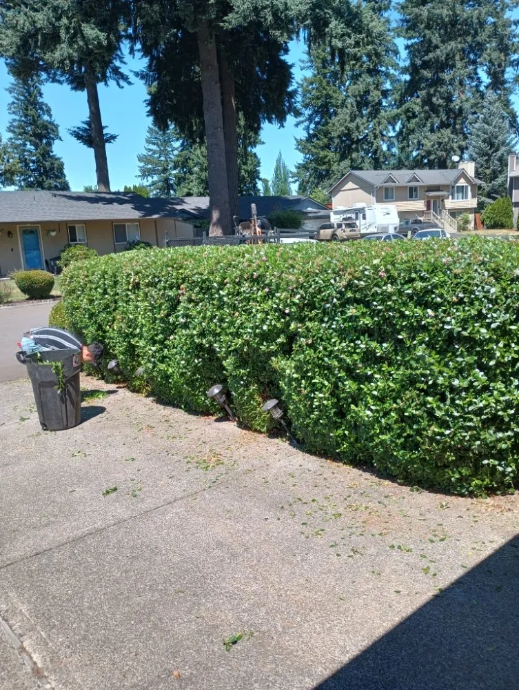 Top-rated yard maintenance in Vancouver, WA by Leo's Landscaping