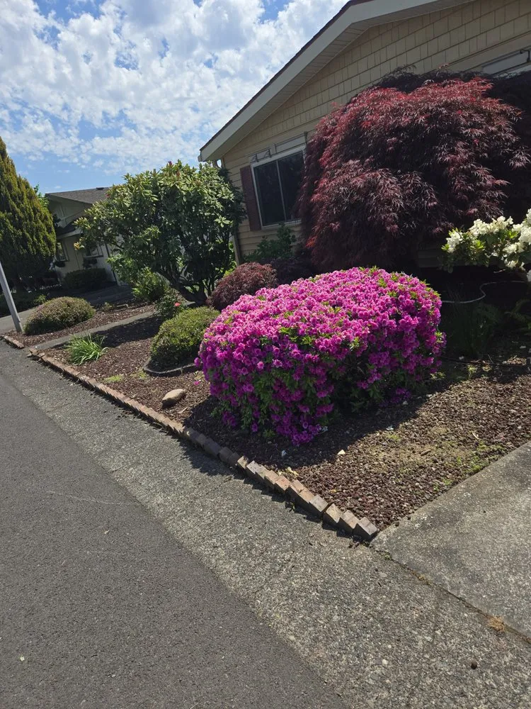 Reliable yard cleanup service for beautiful yards in Vancouver, WA by Leo's Landscaping