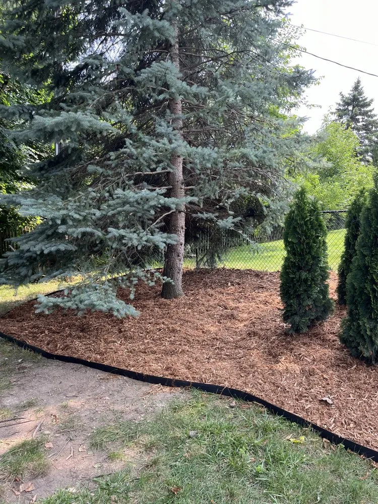 Reliable yard cleanup service in Washington Township, MI - Leo’s Landscaping