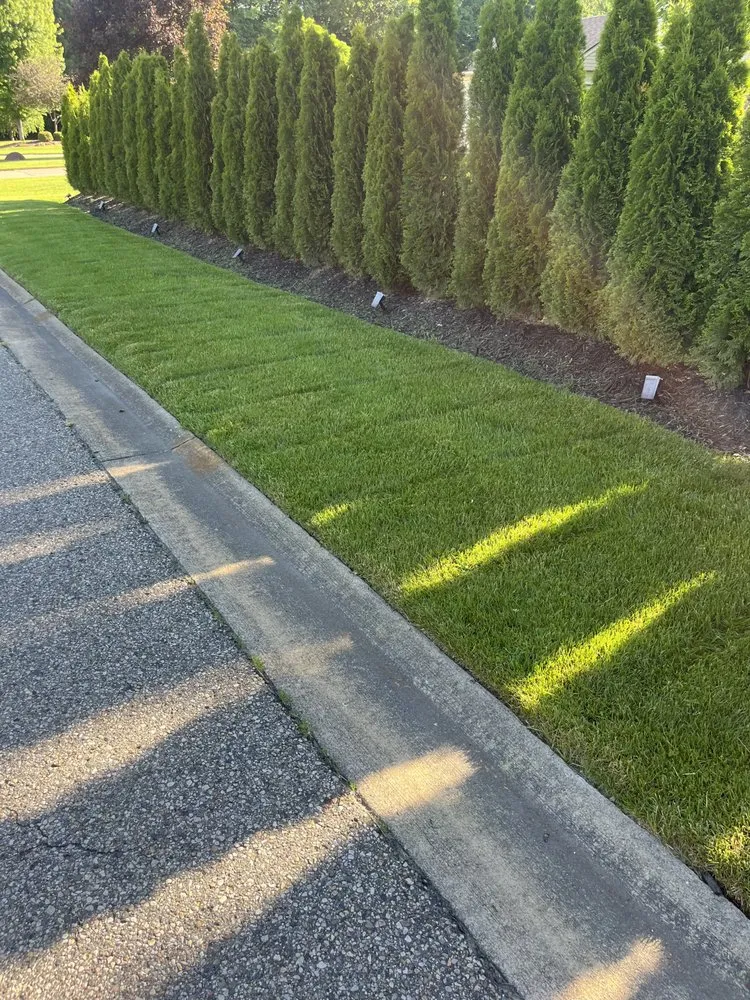 Expert residential landscaping for beautiful yards in Washington Township, MI by Leo’s Landscaping