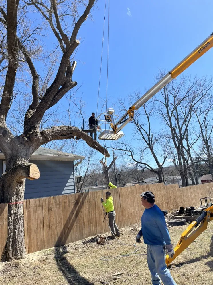 Reliable landscape installation in Watertown, WI by Leo’s landscaping