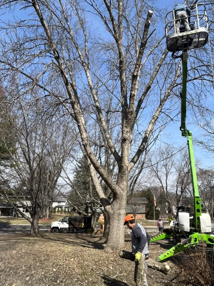 Expert landscaping services near you across Watertown, WI - Leo’s landscaping