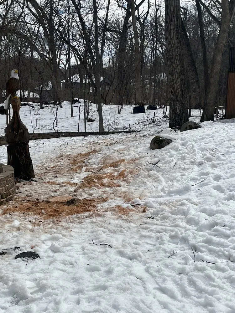 Affordable lawn care service in Watertown, WI by Leo’s landscaping