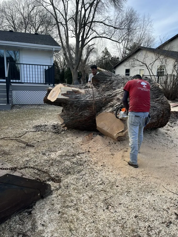 Reliable garden landscaping in Watertown, WI - Leo’s landscaping