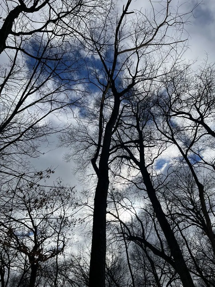 Reliable landscape installation experts serving Watertown, WI - Leo’s landscaping