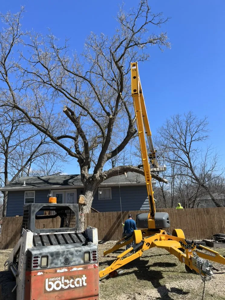 Local residential landscaping for residential properties in Watertown, WI by Leo’s landscaping