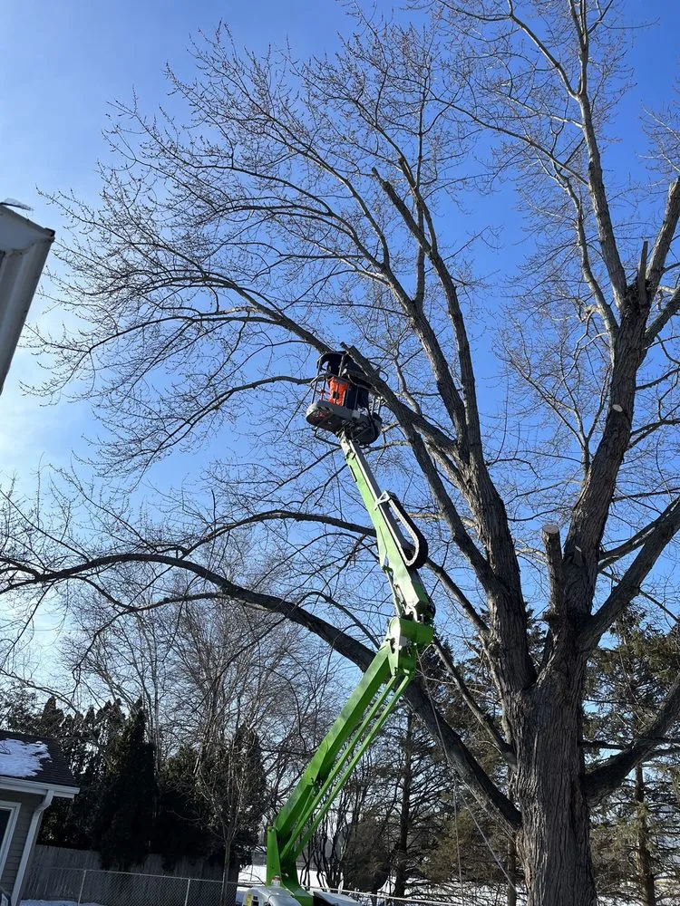 Affordable residential landscaping for year-round maintenance in Watertown, WI by Leo’s landscaping