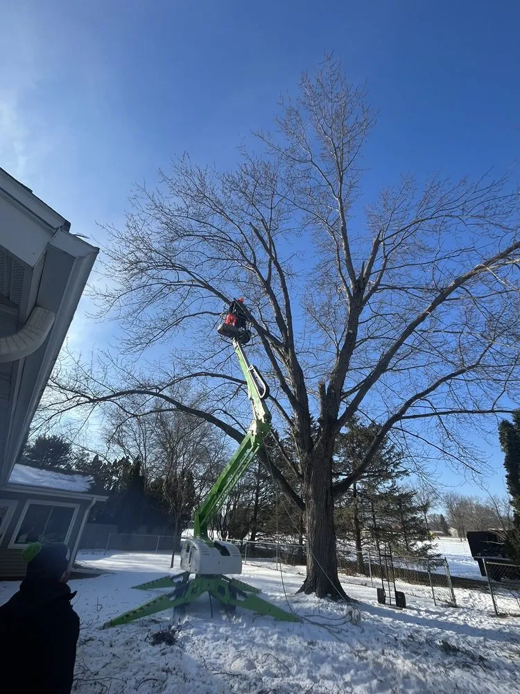 Affordable lawn care service in Watertown, WI by Leo’s landscaping