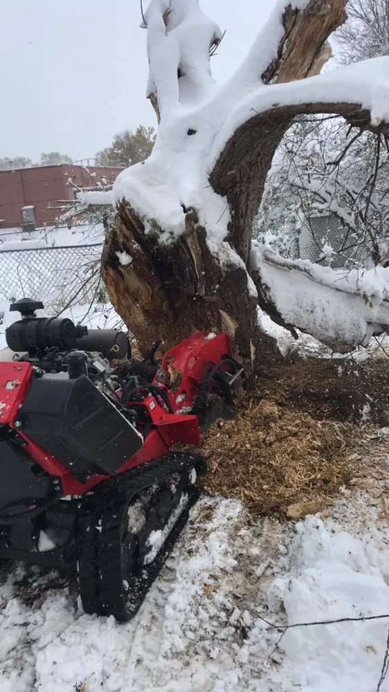 Top-rated residential landscaping in Watertown, WI - Leo’s landscaping