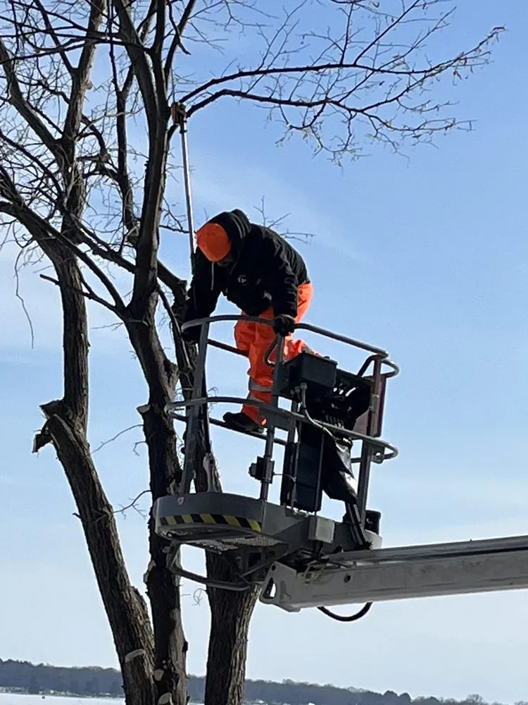 Trusted residential landscaping for year-round maintenance across Watertown, WI - Leo’s landscaping