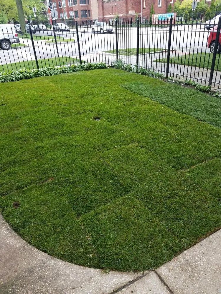 Custom yard maintenance for homes in Chicago, IL by Leo's Lawn Care and Maintenance