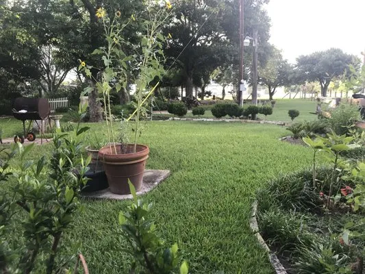 Leo’s Lawn Service Logo