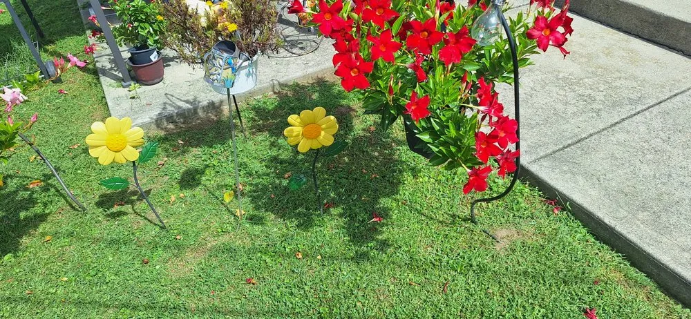 Local yard cleanup service experts serving Indianapolis, IN - Leo's Lawncare and Maintenance