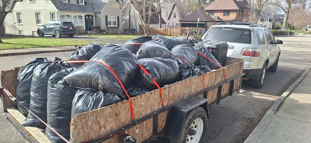 Professional yard cleanup service in Indianapolis, IN - Leo's Lawncare and Maintenance