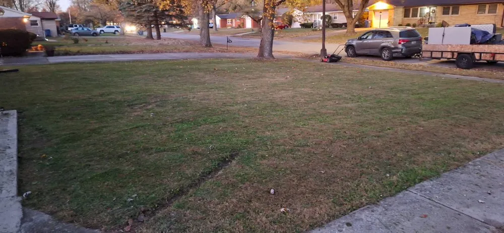 Local yard cleanup service in Indianapolis, IN by Leo's Lawncare and Maintenance