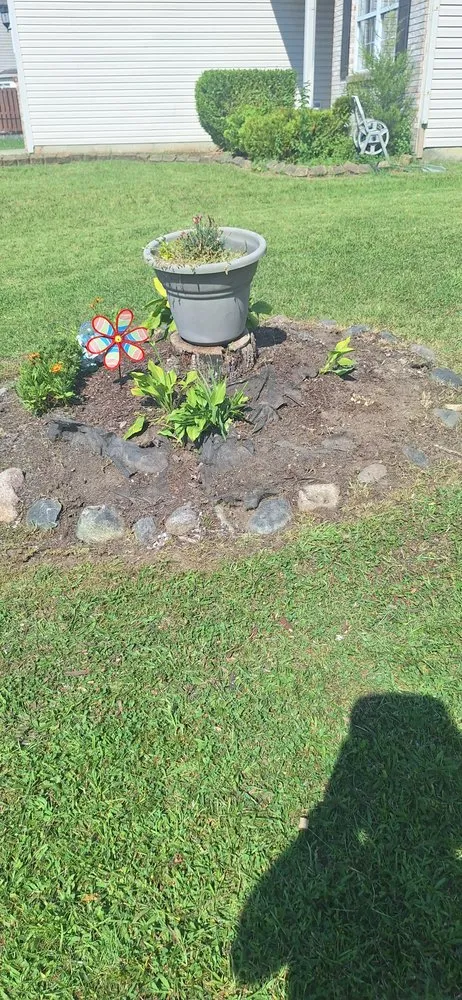 Reliable lawn mowing service for year-round maintenance across Indianapolis, IN - Leo's Lawncare and Maintenance