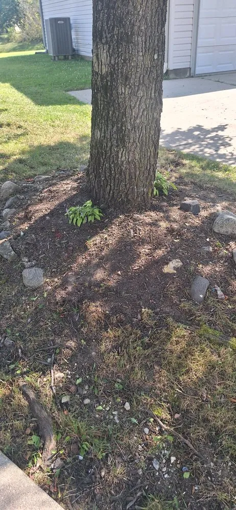 Local residential landscaping near you in Indianapolis, IN by Leo's Lawncare and Maintenance