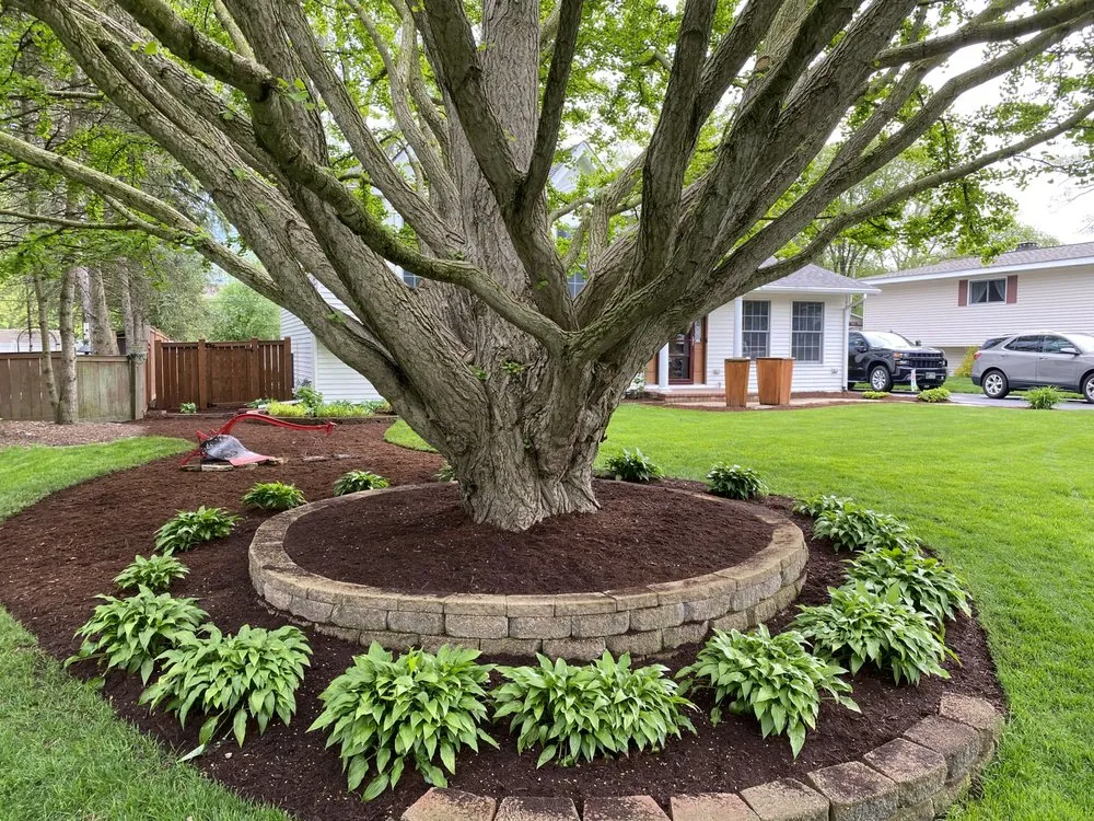 Professional lawn mowing service in Wheaton, IL by Leo’s MO Landscaping