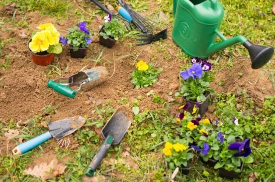 Local residential landscaping experts serving Maricopa, AZ - Leo's Quality Hardscape & Reliable Landscaping Services