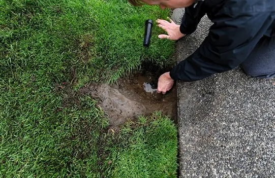 Leo's Quality Hardscape & Reliable Landscaping Services Logo