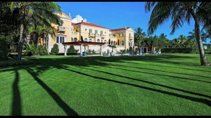 Professional yard cleanup service experts serving Naples, FL - Leo's Sod