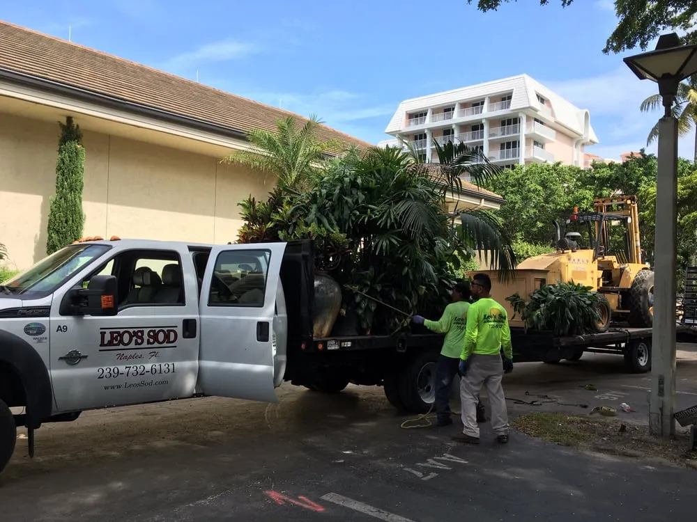 Top-rated yard maintenance in Naples, FL by Leo's Sod