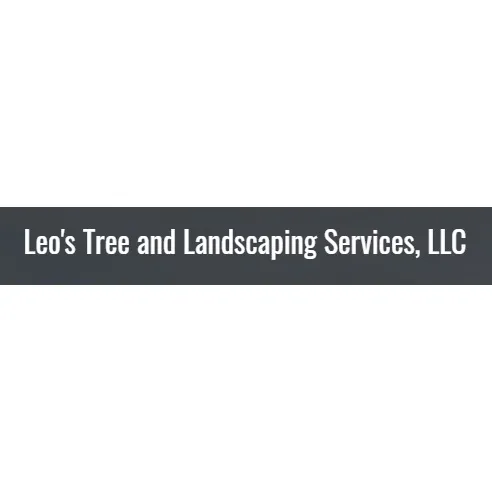 Affordable yard cleanup service for homes across Tampa, FL - Leo's Tree & Landscaping Services