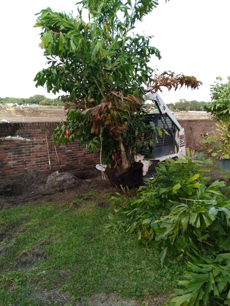 Local landscape design for homes in Tampa, FL by Leo's Tree & Landscaping Services