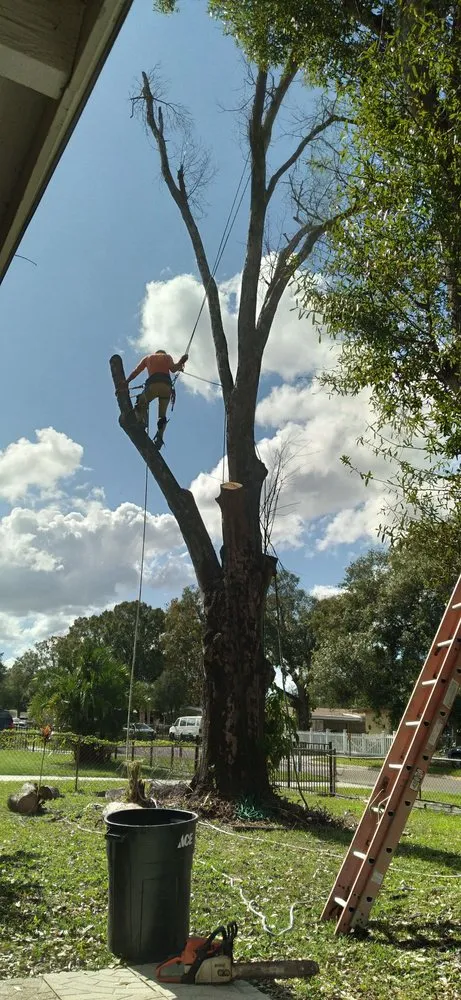 Reliable residential landscaping in Tampa, FL - Leo's Tree & Landscaping Services